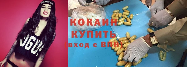 мяу мяу мука Горно-Алтайск