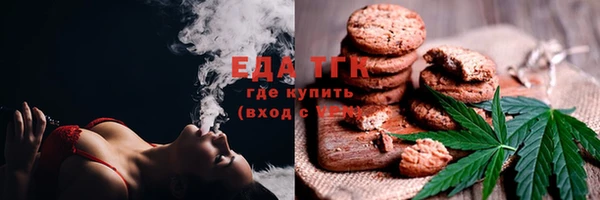 тгк Горняк