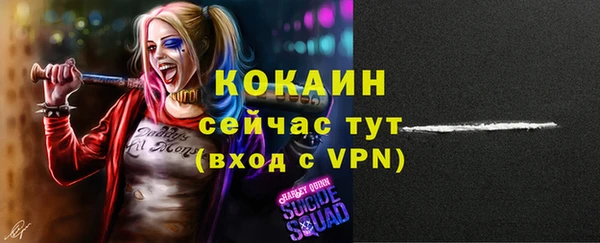 мяу мяу мука Горно-Алтайск