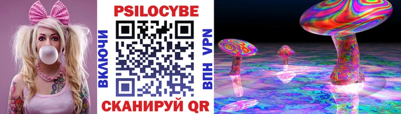 Псилоцибиновые грибы мицелий  где найти   Дальнереченск 
